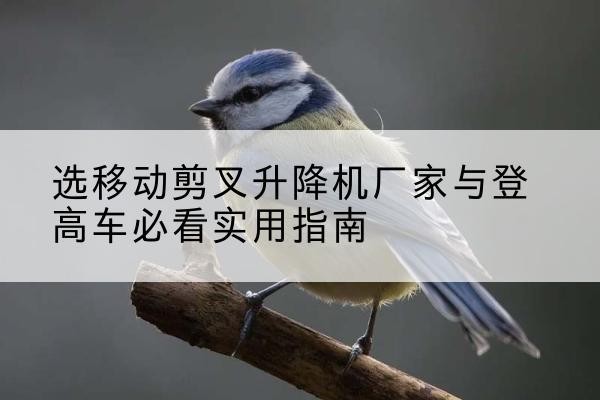 保亭电动升降机厂家-选移动剪叉升降机厂家与登高车必看实用指南