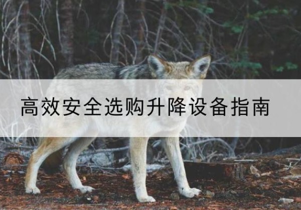 保亭升降货梯厂家推荐-*安全选购升降设备指南