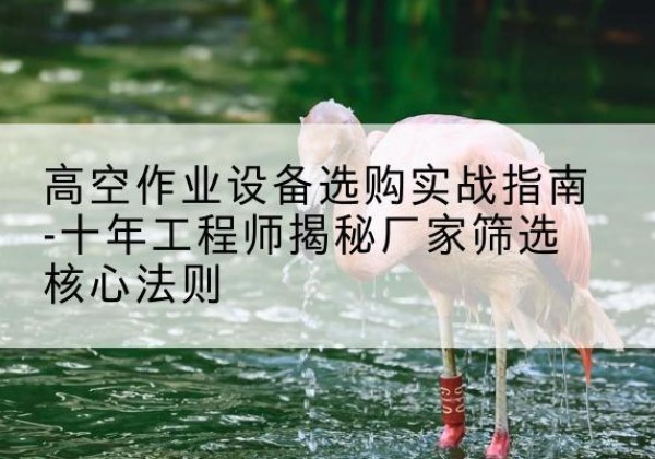 保亭剪叉式升降机厂家-高空作业设备选购实战指南-十年工程师揭秘厂家筛选核心法则